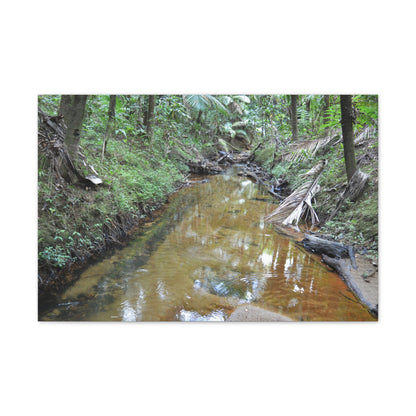 Deep Forest Explorations - El Yunque Holy Spirit River - Nikon D850 - Forest Creek Canvas Print - Stretched 0.75" Nature Wall Art