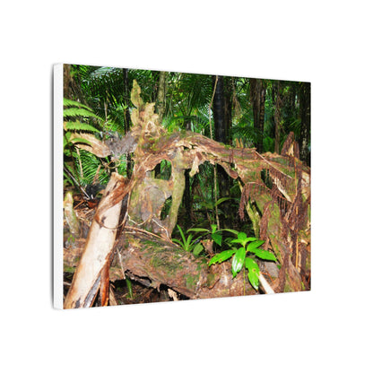 Tropical Rainforest Canvas Print — Lush Jungle Nature Wall Art - El Yunque Rainforest - Puerto Rico - Deep forest explorations - fallen tree