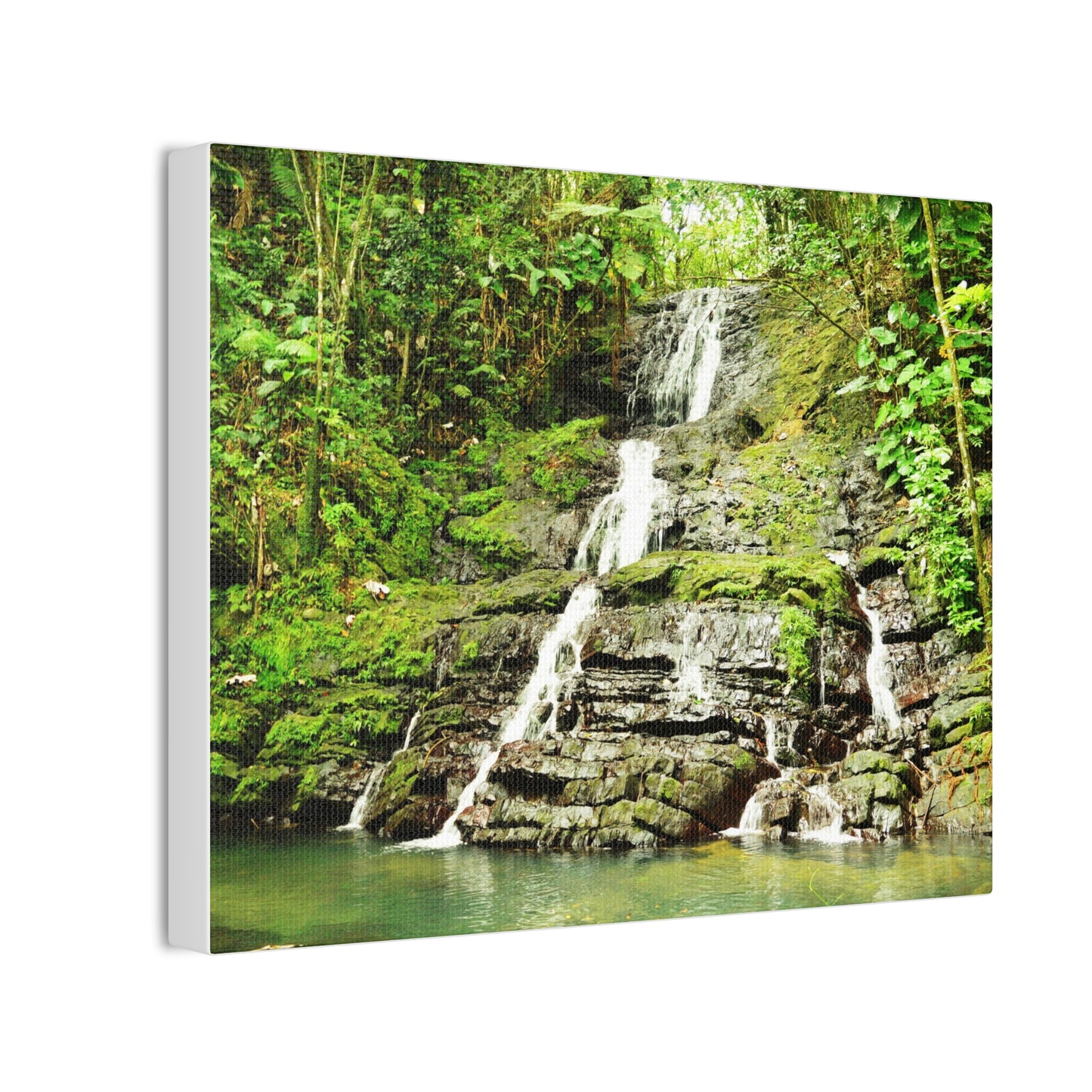 Tropical Waterfall Canvas Wall Art — Lush Jungle Landscape Print