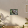 Matte Canvas Wall Art – Green Tree Lizard Photography (Stretched) - El Yunque Rainforest - Puerto Rico - Deep forest explorations