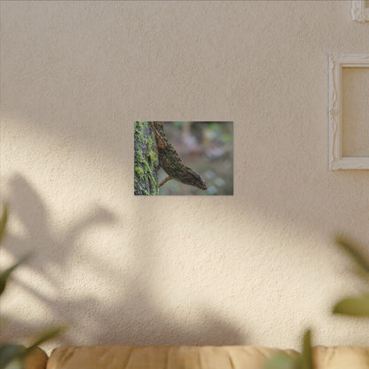 Matte Canvas Wall Art – Green Tree Lizard Photography (Stretched) - El Yunque Rainforest - Puerto Rico - Deep forest explorations
