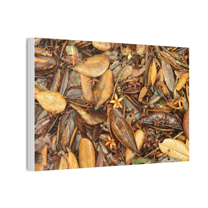 Autumn Leaf Floor Canvas Print — Deep Forest Explorations - El Yunque - Nikon D850 Stretched Wall Art (0.75")
