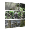 Green Lizard, Bird with modified colors and Decomposing Tree Art - El Yunque - Nikon D850 - Triptych Acrylic Print – Forest Wall Art