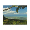 Tropical Coastal View Matte Canvas Wall Art – Scenic Island Landscape Print