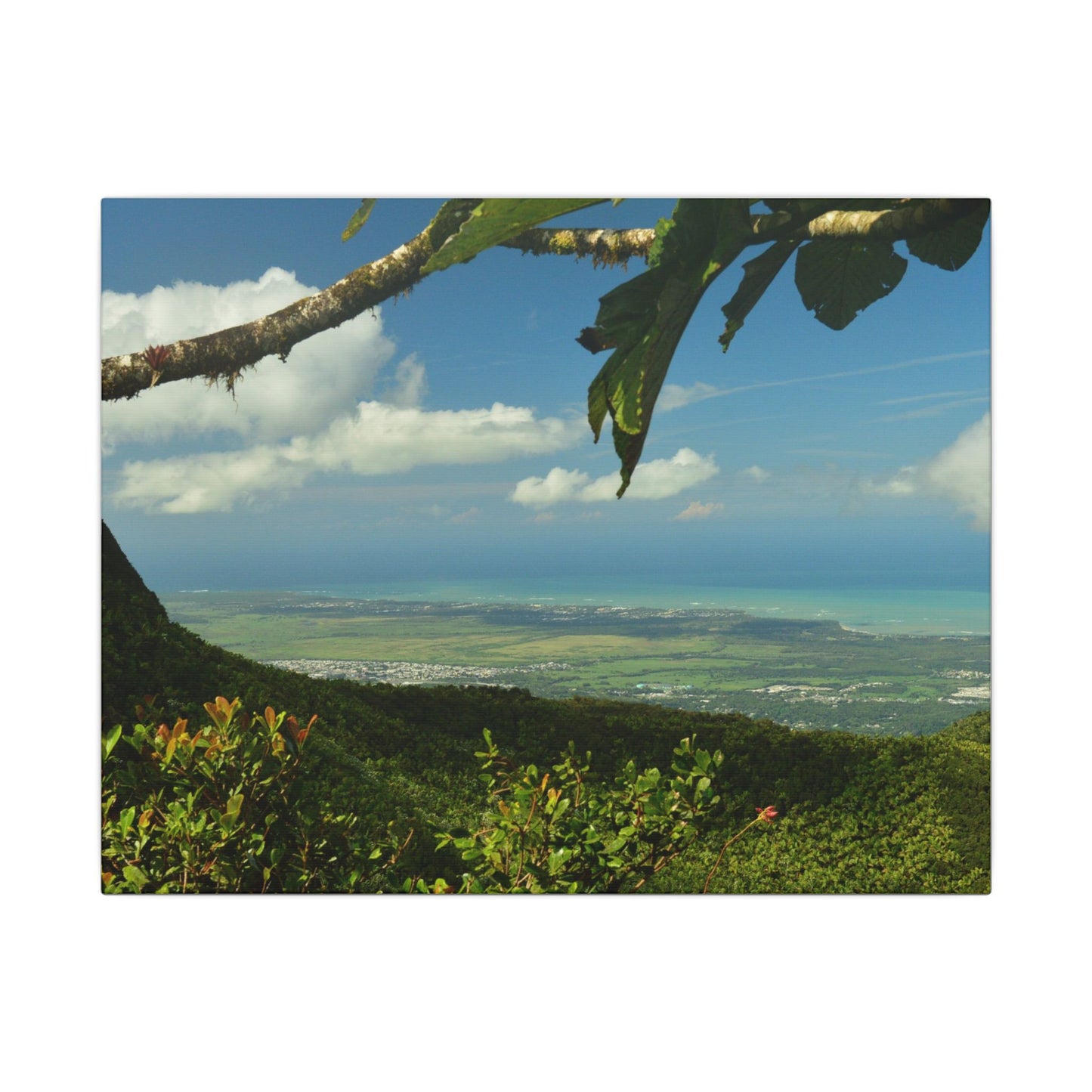 Tropical Coastal View Matte Canvas Wall Art – Scenic Island Landscape Print
