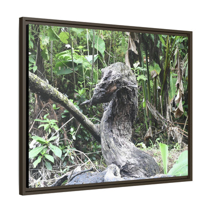 Tropical Vista Matte Canvas Framed Wall Art - Forest explorations - Deep in Sabana River Unusual Tree formations ??? -  El Yunque rainforest PR