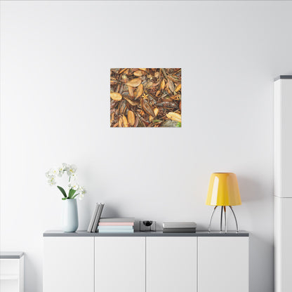Leaf Floor Canvas Print — Matte Stretched Wall Art - Tradewinds trail - below canopy of local peak - leaf variety & geometry & stars ...