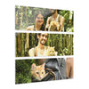 Three Views of a Cat Looking at the Forest - Gabi and Mateo - El Yunque RainForest  - Nikon D850 - Tropical Mountains Triptych Acrylic Print – Panoramic Jungle & Ocean Wall Art