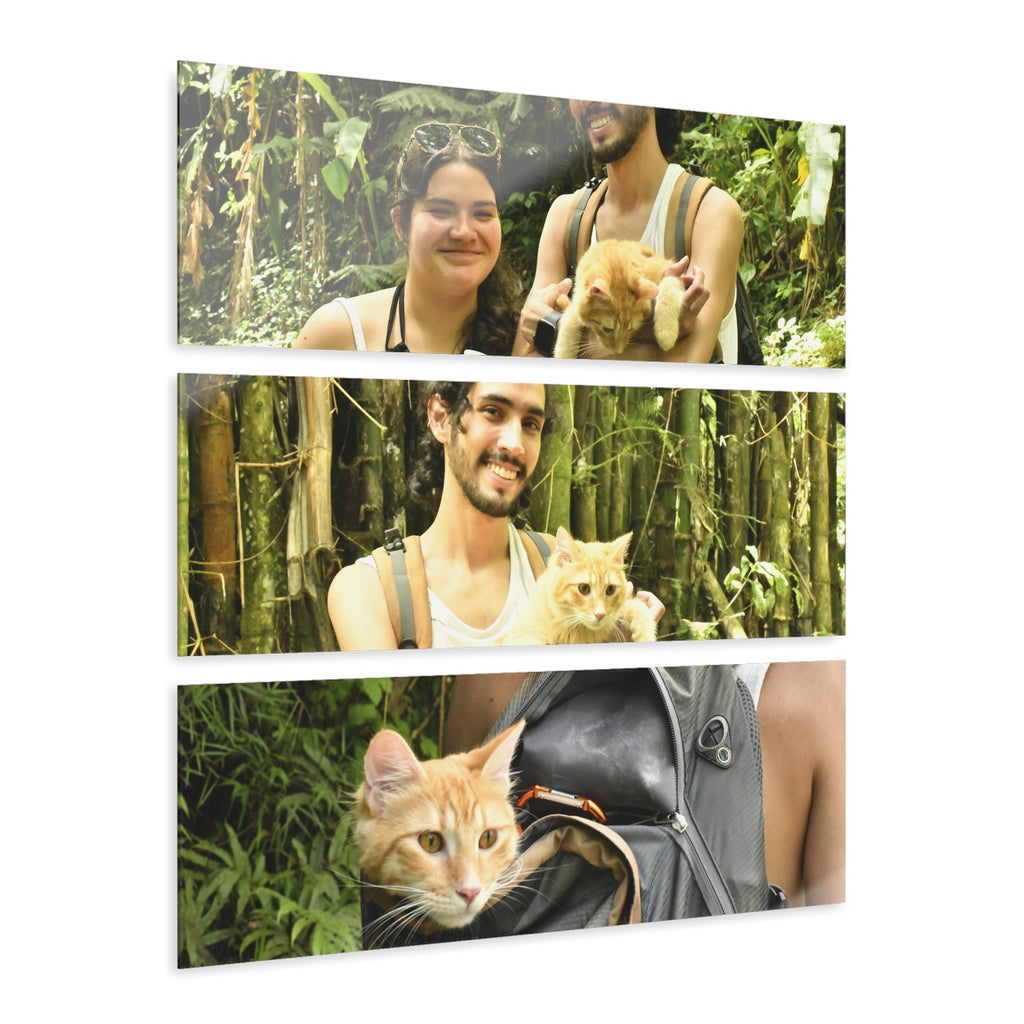 Three Views of a Cat Looking at the Forest - Gabi and Mateo - El Yunque RainForest  - Nikon D850 - Tropical Mountains Triptych Acrylic Print – Panoramic Jungle & Ocean Wall Art