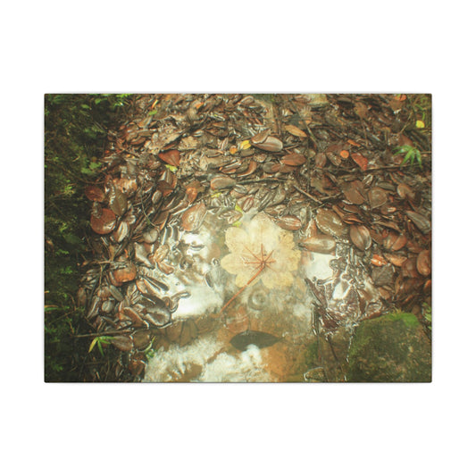 Autumn Leaf Reflection Matte Canvas Wall Art — Nature Forest Stream Print - Yagrumo leaf in middle of many decomposing leafs - Amazing symmetry - Tradewinds trail