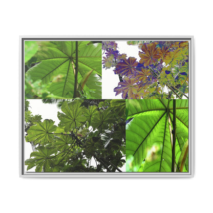Tropical Vista Matte Canvas Framed Wall Art - Forest explorations - Deep in El Yunque rainforest PR - Mosaic#3 of the Unique Yagrumo Tree Leafs