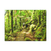 Forest Trail Matte Canvas Print – Lush Green Nature Wall Art - Hiker enjoys the BEAUTY - Mt Britton Trail - El Yunque Rainforest - Puerto Rico
