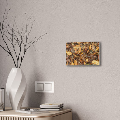 Autumn Leaf Floor Canvas Print — Deep Forest Explorations - El Yunque - Nikon D850 Stretched Wall Art (0.75")