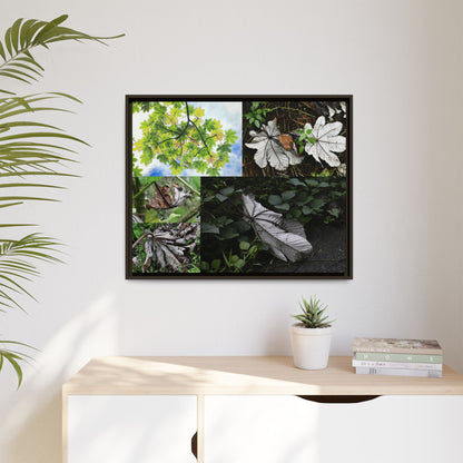 Tropical Vista Matte Canvas Framed Wall Art - Forest explorations - Deep in El Yunque rainforest PR - Mosaic#2 of the Unique Yagrumo Tree Leafs