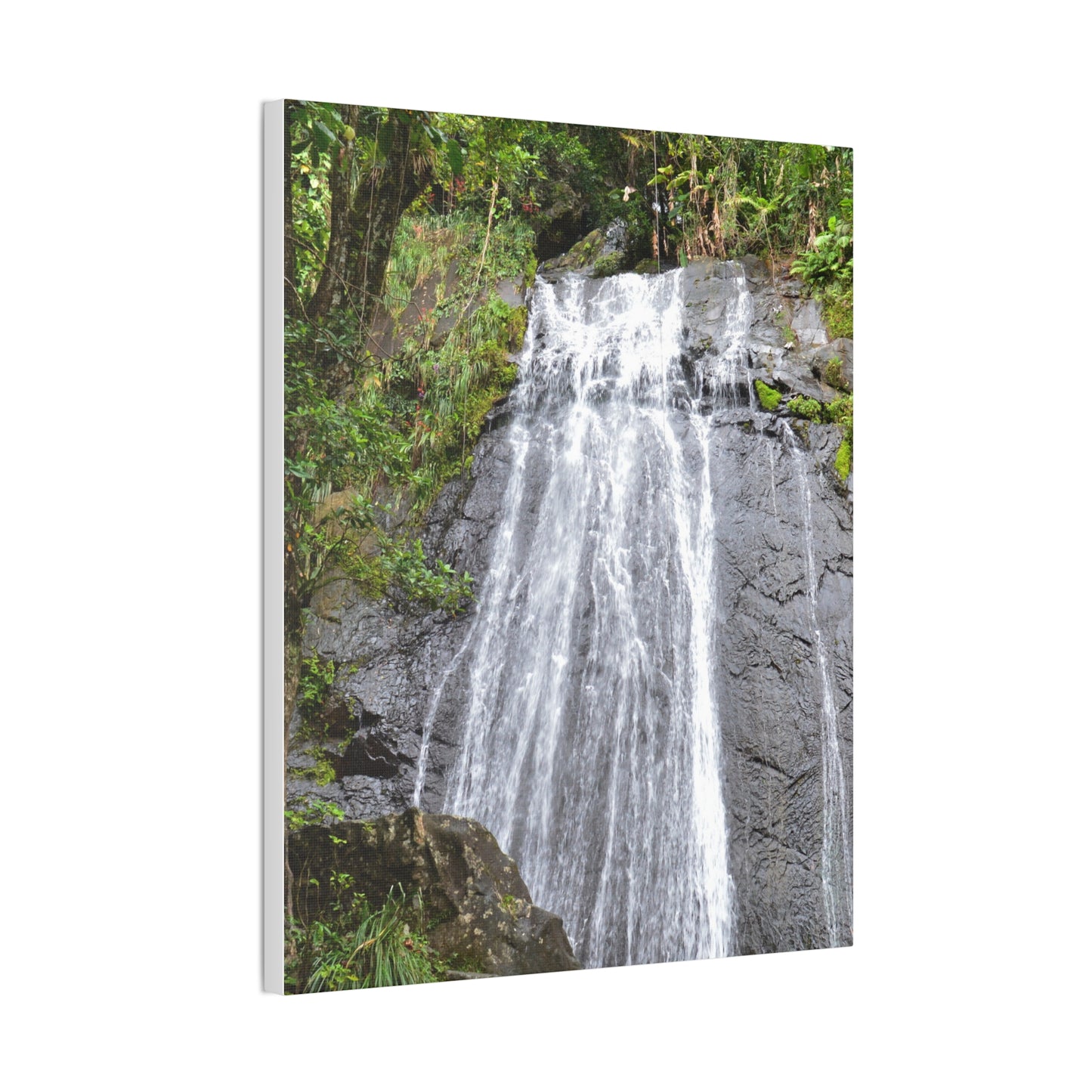 Waterfall Canvas Print — El Yunque La Coca Falls - Nikon D850 Tropical Nature Wall Art, Stretched 0.75"