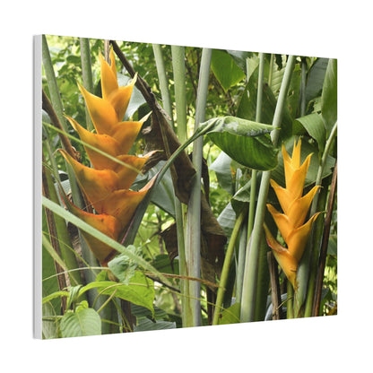 Tropical Heliconia Canvas Print — El Yunque rainforest - Vibrant Jungle Wall Art