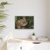 Framed Matte Canvas Wall Art — Tropical Rainforest Roots Photography - Not a nice image - a slowly decomposing red Tree (very hard wood) in Tradewinds trail