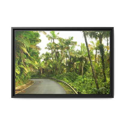 Tropical Vista Matte Canvas Framed Wall Art — Lush Mountain road the PR 191 High forest - El Yunque rainforest PR