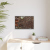 Framed Matte Canvas Wall Art — Tropical Rainforest Decomposing Sierra Palm Seeds Branch - Photography - Tradewinds