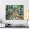 Deep Forest Explorations - El Yunque Holy Spirit River - Nikon D850 - Forest Creek Canvas Print - Stretched 0.75" Nature Wall Art