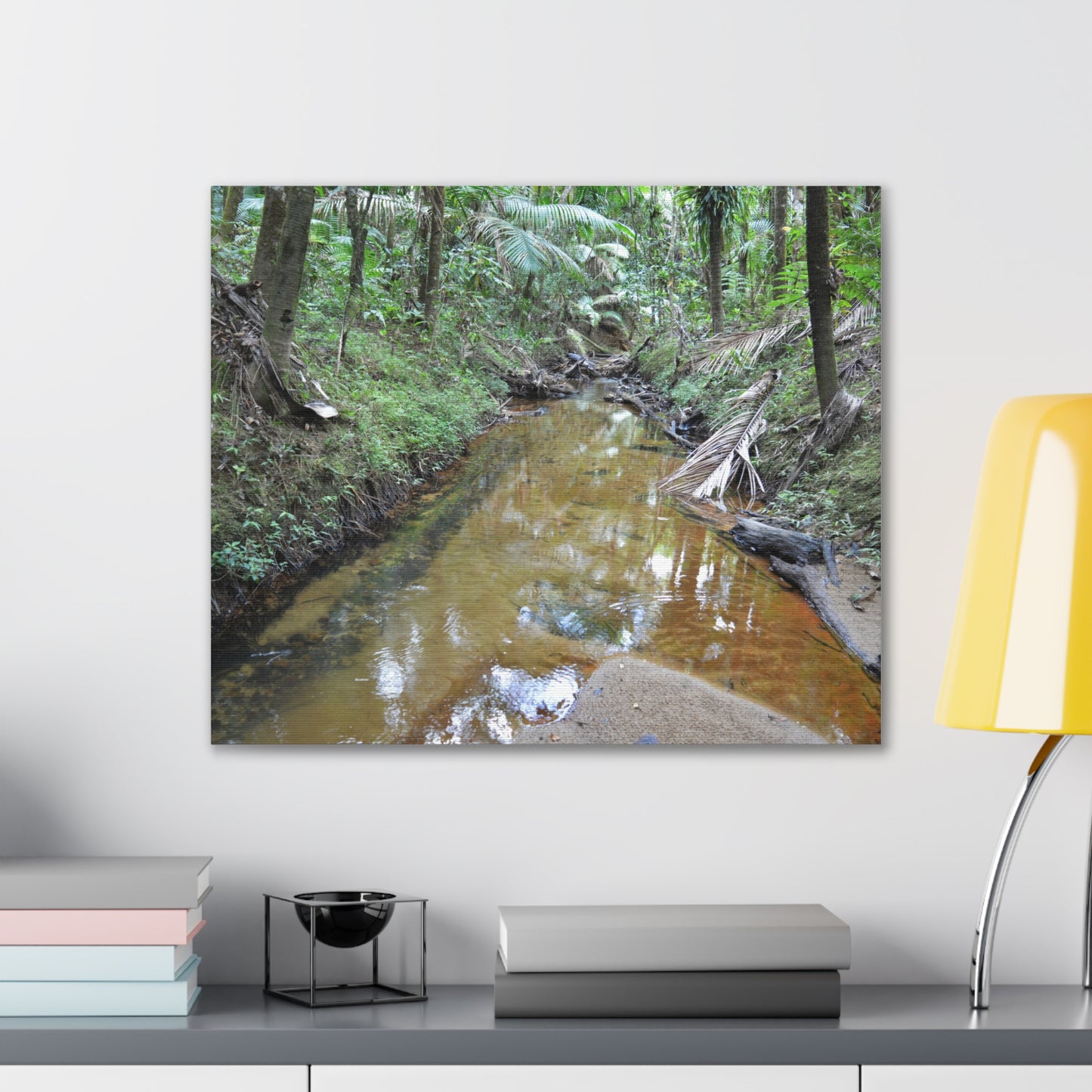 Deep Forest Explorations - El Yunque Holy Spirit River - Nikon D850 - Forest Creek Canvas Print - Stretched 0.75" Nature Wall Art