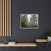 Tropical Vista Matte Canvas Framed Wall Art - Forest explorations - My son Jose is tired on El Yunque High-Forest (in the clouds) trail -  El Yunque rainforest PR