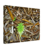 150a8914-07b3-41ee-ae92-2be706de2712