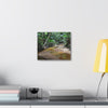 Deep Forest Explorations - El Yunque Holy Spirit River - Nikon D850 - Tropical Creek Canvas Print — Lush Rainforest River Wall Art