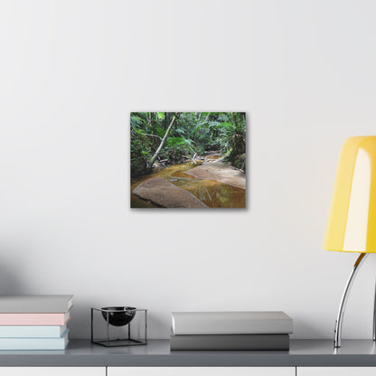 Deep Forest Explorations - El Yunque Holy Spirit River - Nikon D850 - Tropical Creek Canvas Print — Lush Rainforest River Wall Art