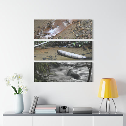 Deep Forest Explorations - Pristine Rio Sabana Nature Art - El Yunque RainForest  - Nikon D850 - Tropical Rivers Triptych Acrylic Print – Panoramic Jungle Wall Aert