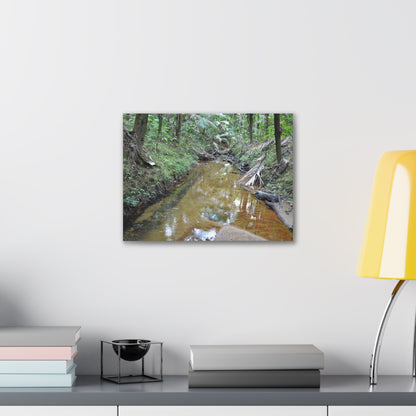 Deep Forest Explorations - El Yunque Holy Spirit River - Nikon D850 - Forest Creek Canvas Print - Stretched 0.75" Nature Wall Art