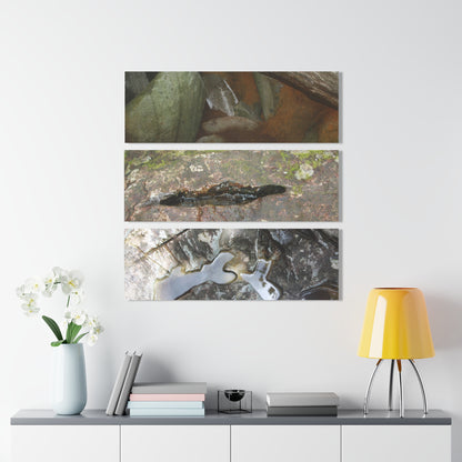 El Yunque Rainforest - Boulders formations in the Deep Forest - Nikon D850 - Triptych Acrylic Print – Forest Creek Landscape Wall Art