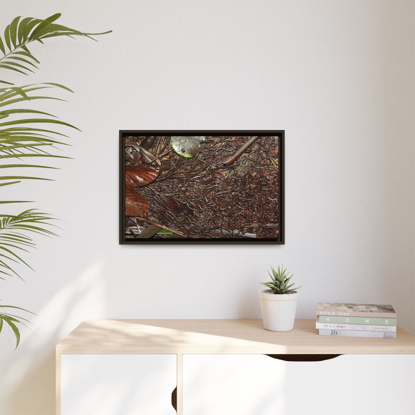 Framed Matte Canvas Wall Art — Tropical Rainforest Decomposing Sierra Palm Seeds Branch - Photography - Tradewinds