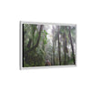 Tropical Vista Matte Canvas Framed Wall Art - Forest explorations - My son Jose is tired on El Yunque High-Forest (in the clouds) trail -  El Yunque rainforest PR