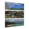 Remote Mona Island Art - Beaches as  Painting, view from Playa Pajaros - Nikon D850 - Triptych Acrylic Print – Mona Island Wall Art