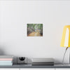 Matte Canvas Print — Tropical Forest Creek Wall Art (Stretched) - El Yunque Rainforest - Puerto Rico - Deep forest explorations