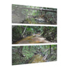 Deep Forest Explorations - El Yunque Holy Spirit River - Nikon D850 - Triptych Acrylic Print – Forest Creek Landscape Wall Art