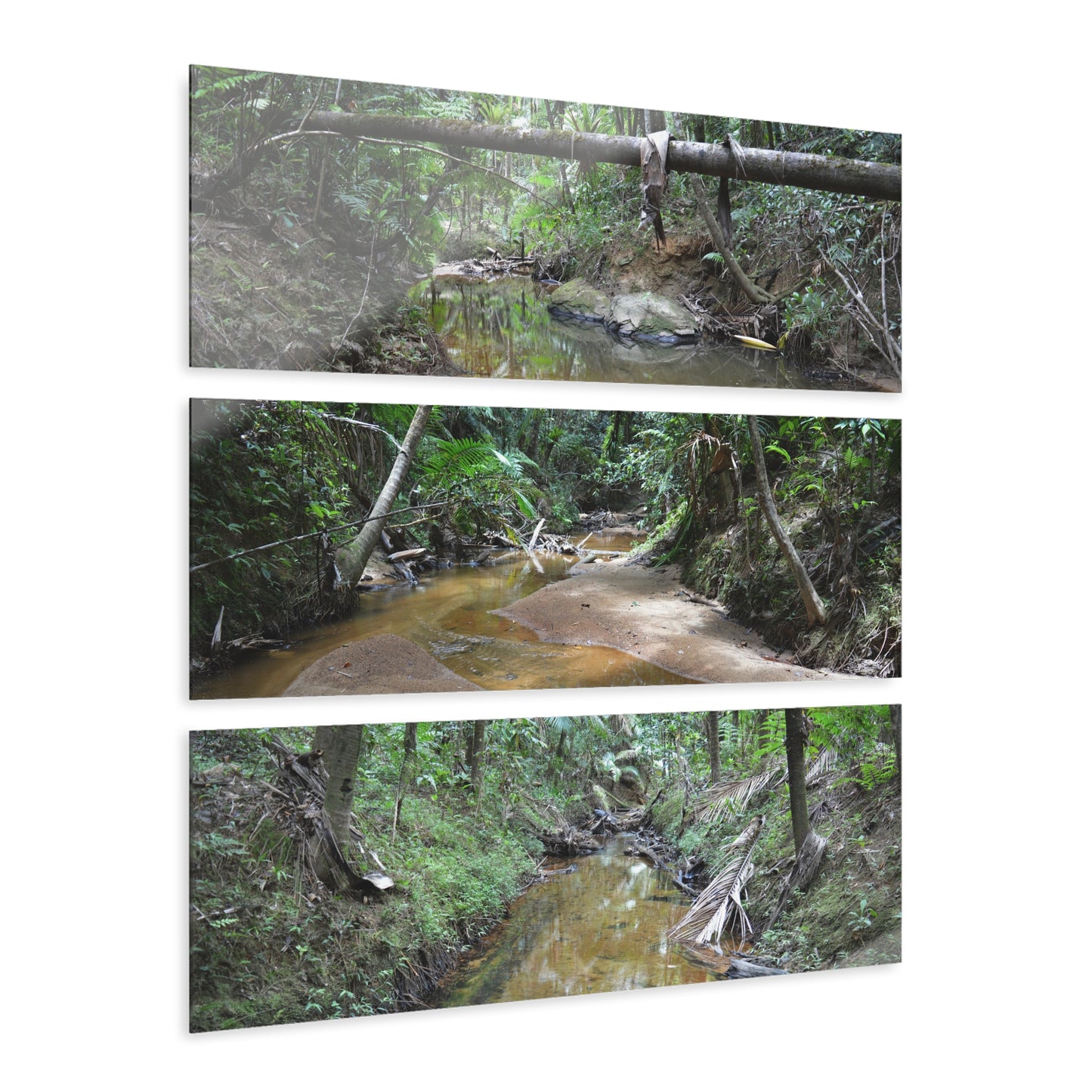 Deep Forest Explorations - El Yunque Holy Spirit River - Nikon D850 - Triptych Acrylic Print – Forest Creek Landscape Wall Art