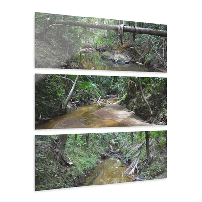 Deep Forest Explorations - El Yunque Holy Spirit River - Nikon D850 - Triptych Acrylic Print – Forest Creek Landscape Wall Art
