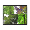 Tropical Vista Matte Canvas Framed Wall Art - Forest explorations - Deep in El Yunque rainforest PR - Mosaic#3 of the Unique Yagrumo Tree Leafs