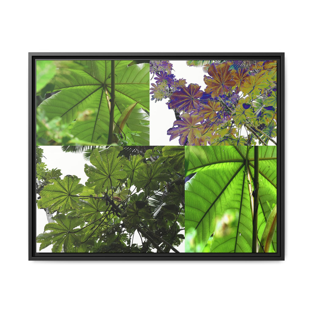 Tropical Vista Matte Canvas Framed Wall Art - Forest explorations - Deep in El Yunque rainforest PR - Mosaic#3 of the Unique Yagrumo Tree Leafs
