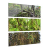 The Dense Cloud Forest -  El Yunque RainForest - Nikon D850 - Tropical Rivers Triptych Acrylic Print – Panoramic Jungle Wall Aert