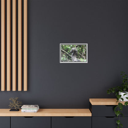 Tropical Vista Matte Canvas Framed Wall Art - Forest explorations - Deep in Sabana River Unusual Tree formations ??? -  El Yunque rainforest PR