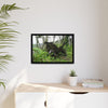 Framed Matte Canvas Wall Art — Tropical Rainforest Roots Photography - Not a nice image - but its an uprooted tree from 2017 Hurricane Maria > 200 MPH winds- that can survive hurricanes