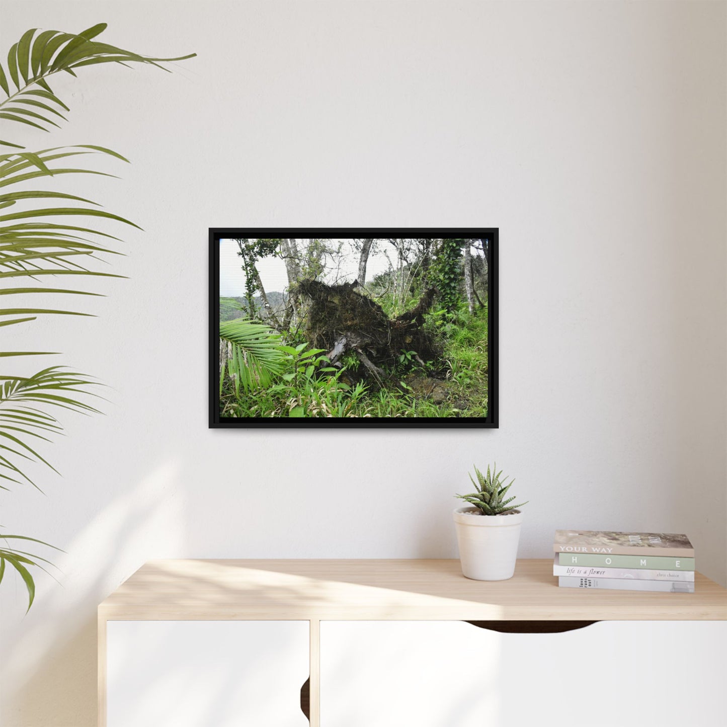 Framed Matte Canvas Wall Art — Tropical Rainforest Roots Photography - Not a nice image - but its an uprooted tree from 2017 Hurricane Maria > 200 MPH winds- that can survive hurricanes