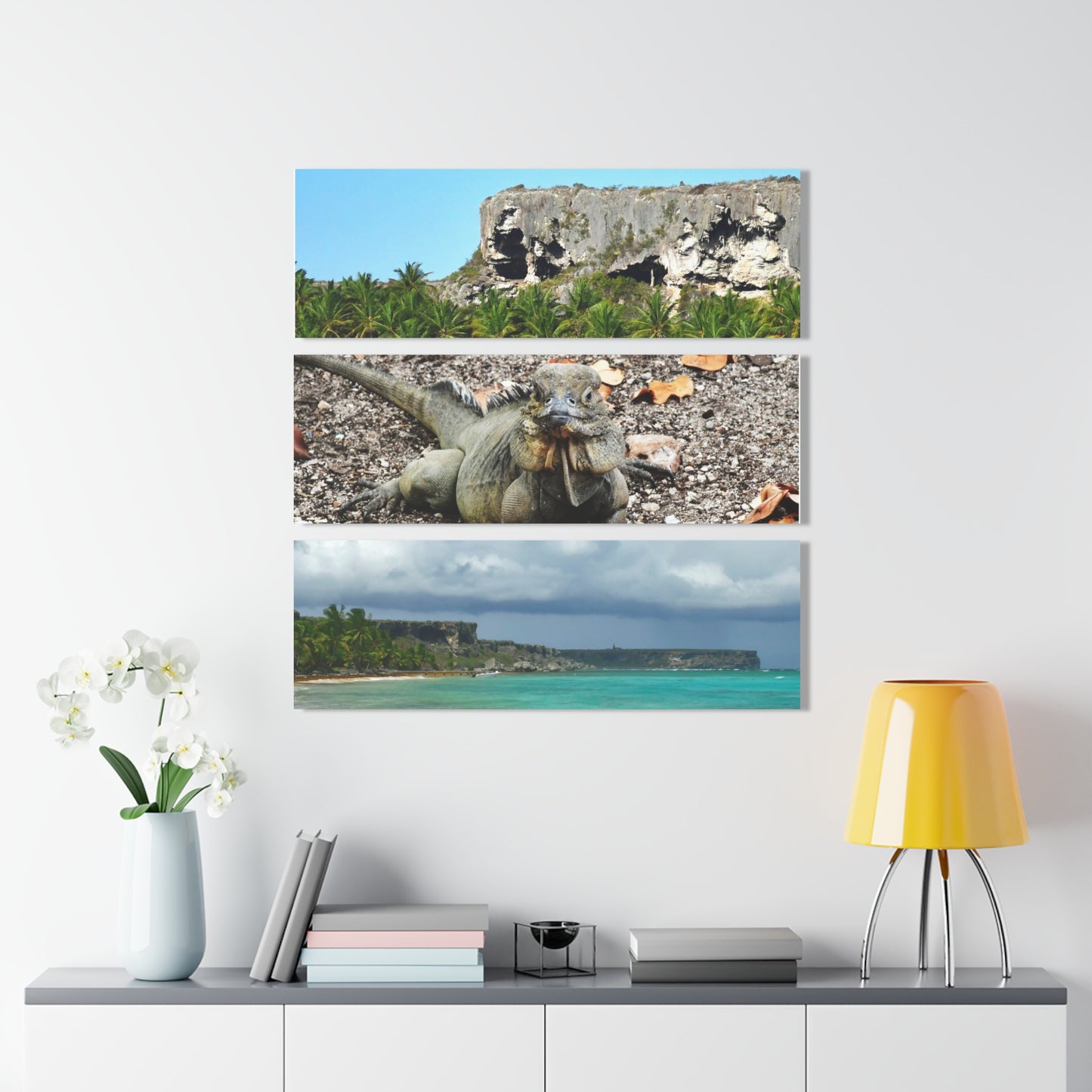Exploring the remote Mona Island - Caves, Iguanas and Los Pajaros Beach  - Nikon D850 - Tropical Mountains Triptych Acrylic Print – Panoramic Jungle & Ocean Wall Art