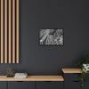 Framed Matte Canvas Wall Art — Tropical Rainforest Roots Photography - B&W roots of the Sierra Palm tree - Nikon