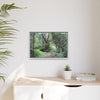 Tropical Vista Matte Canvas Framed Wall Art — Magic section of the remote Tradewinds Trail -  El Yunque rainforest PR