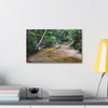 Deep Forest Explorations - El Yunque Holy Spirit River - Nikon D850 - Tropical Creek Canvas Print — Lush Rainforest River Wall Art