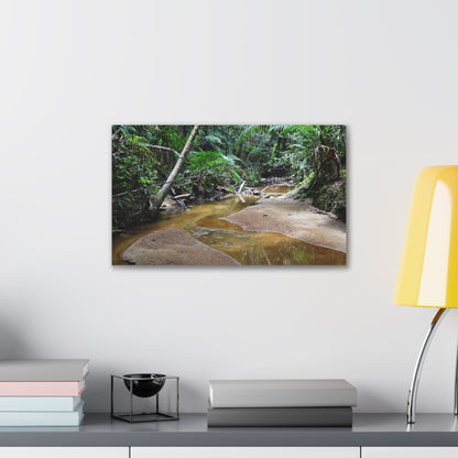 Deep Forest Explorations - El Yunque Holy Spirit River - Nikon D850 - Tropical Creek Canvas Print — Lush Rainforest River Wall Art